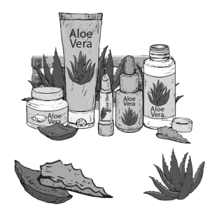 Cosmética Aloe Vera